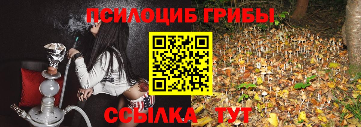 Псилоцибиновые грибы прущие грибы  Вход с VPN  Видное 